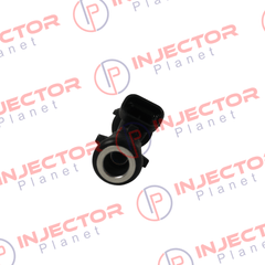 Delphi FJ10560 General Motors 25166922 Honda 8171133990 Isuzu 8251669221 fuel injector